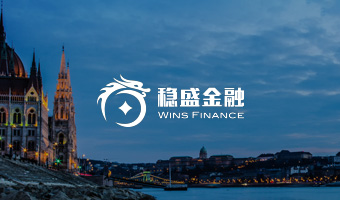 穩(wěn)勝金融控股集團官網(wǎng)設(shè)計
