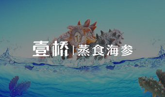 壹橋海參H5響應式官網設計