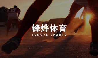 峰燁體育官網設計