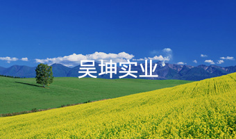 昊坤實業官網設計